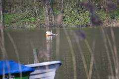 2012__DSC2430_