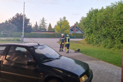 IMG-20230527-WA0013