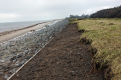 PXL_20231025_100120481