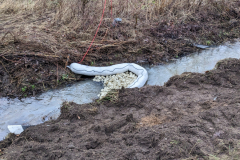 PXL_20240212_075647398