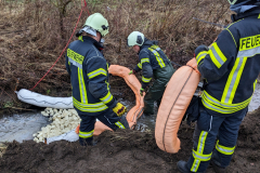 PXL_20240212_075818467