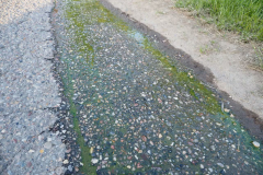 3M6LC2KMWZFOTL444KSC655N3E