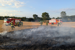 PXL_20250716_180051214.MP_