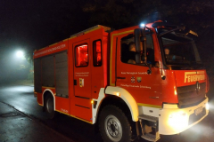 LF20-KatS_Z1G2_99-47-01_FF_Schoenberg