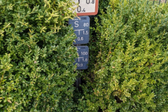 Hydranten_Hinweis_teilw_verdeckt