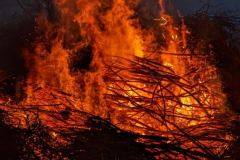 Screenshot_20230409_001916_WhatsApp2