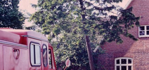 Technische Hilfe Baum absägen Schule